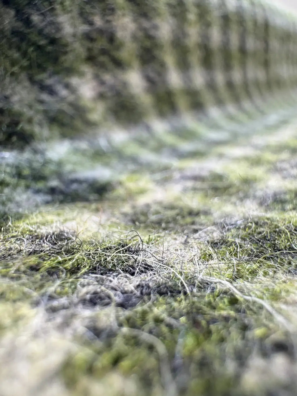 baraqah merino tweed fabric 