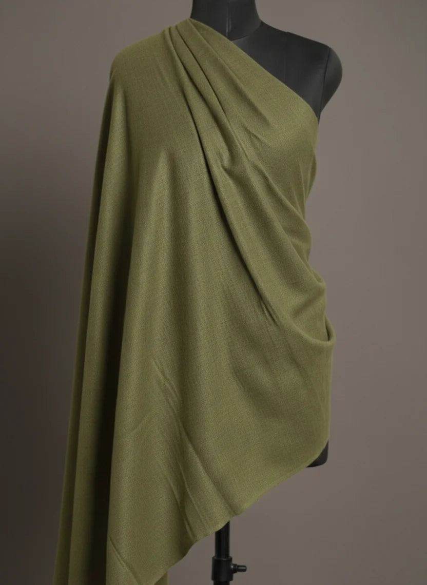 baraqah light green color pashmina shawl for women 