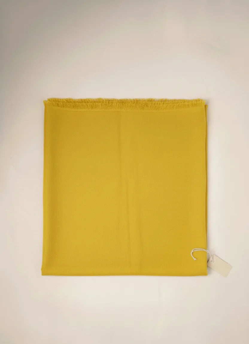 parrot green color pashmina stole for women 