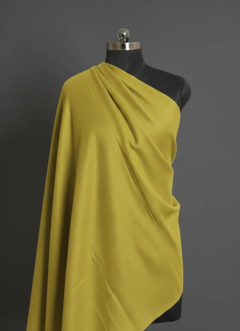 baraqah parrot green color pure pashmina for females 