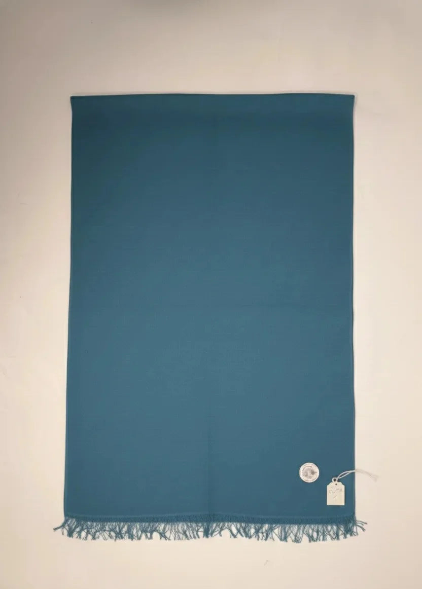 baraqah sea blue color pure pashmina shawl for women 