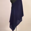 pashmina shawl with GI